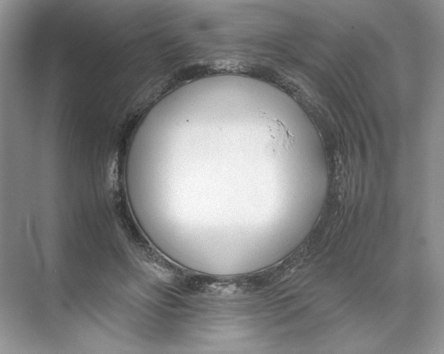 X0000074330502200609230056