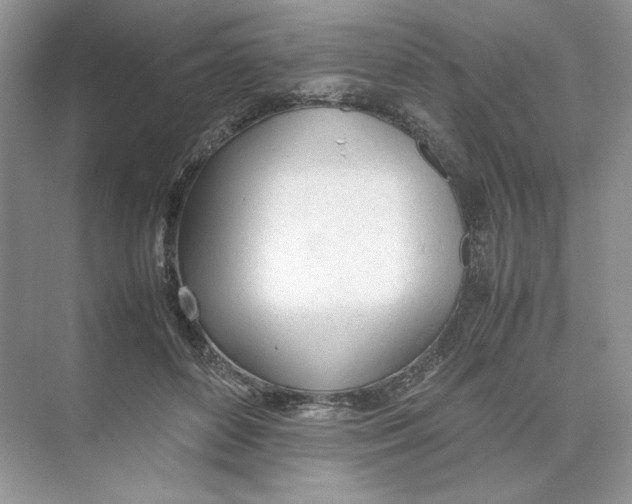 X0000074330504200609230056