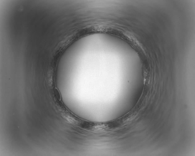 X0000074330505200609230056