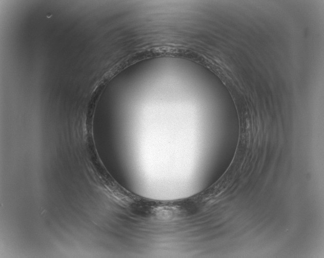 X0000074330508200609230056