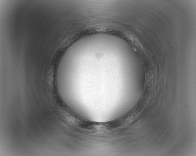 X0000074330509200609230056