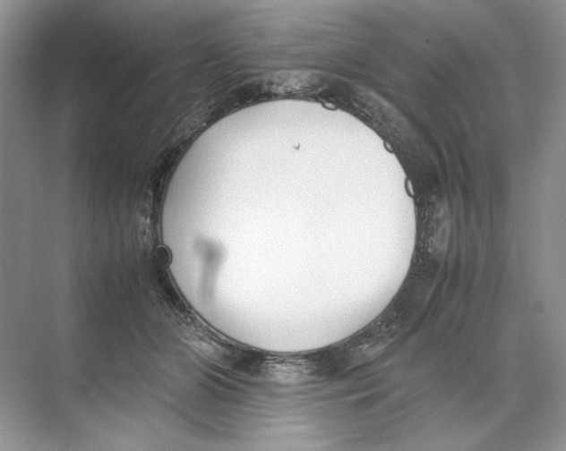 X0000074330510200609230056