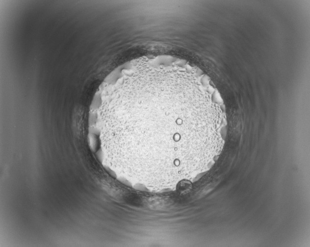 X0000074330511200609230056