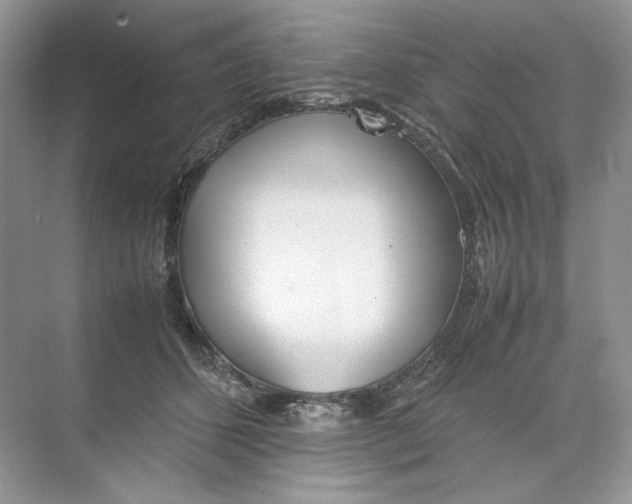 X0000074330512200609230056