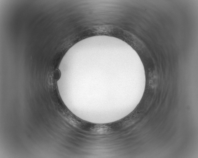 X0000074330514200609230056