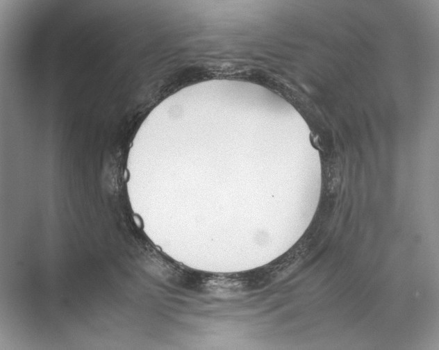 X0000074330515200609230056