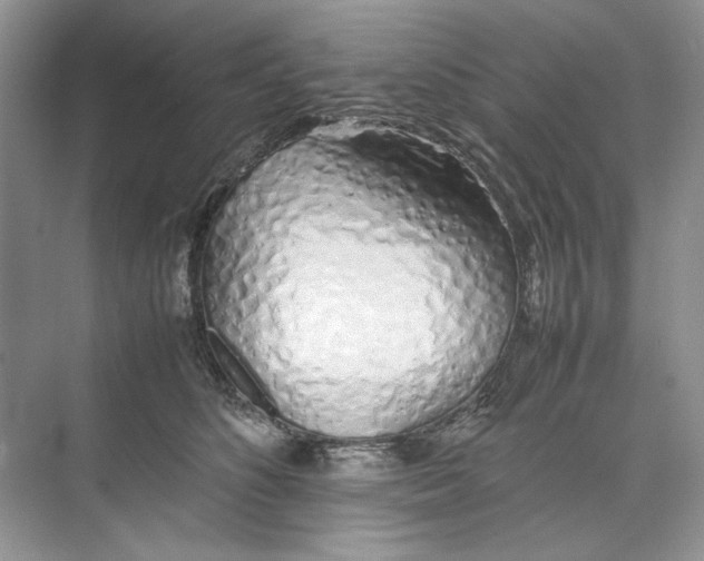 X0000074330516200609230056