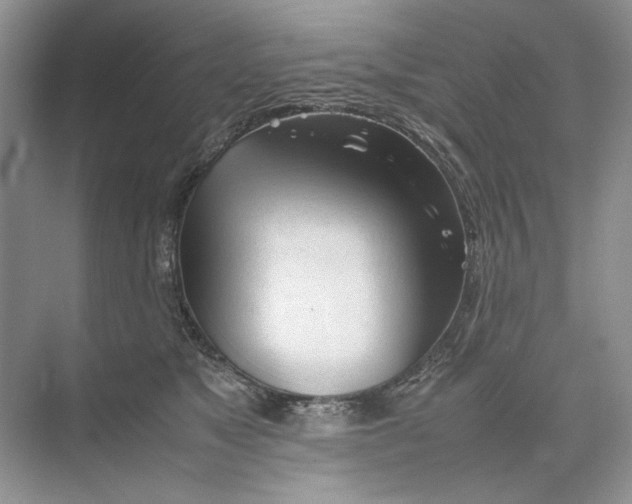 X0000074330517200609230055