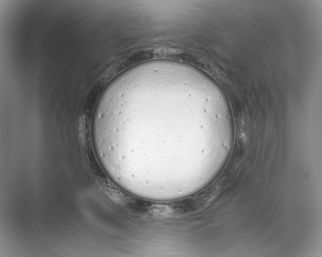 X0000074330519200609230055