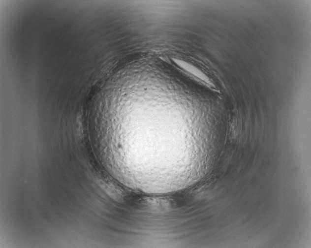 X0000074330520200609230055