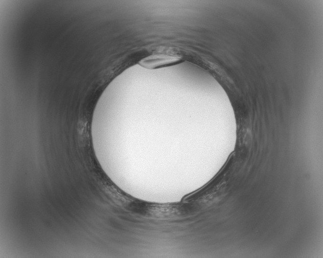 X0000074330521200609230055