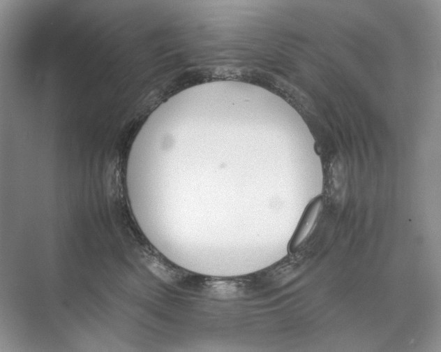 X0000074330522200609230055