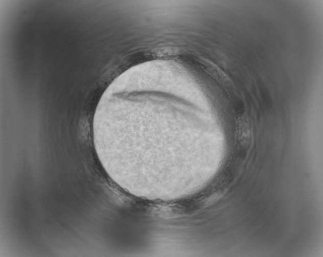 X0000074330523200609230055