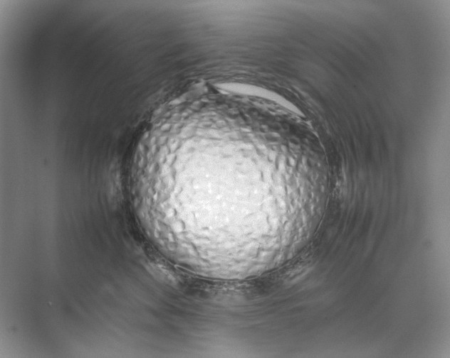 X0000074330524200609230055