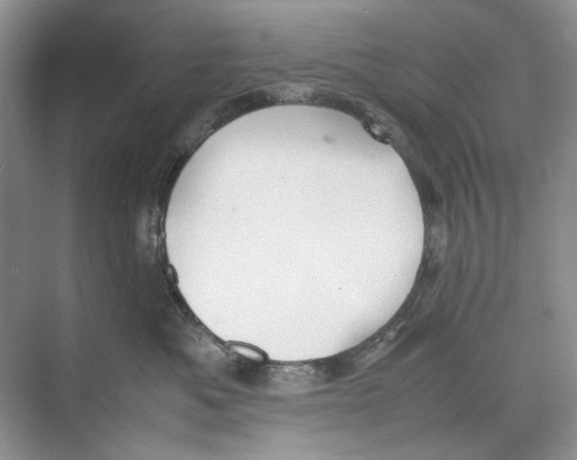 X0000074330525200609230055