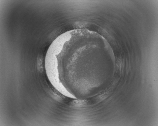 X0000074330526200609230055