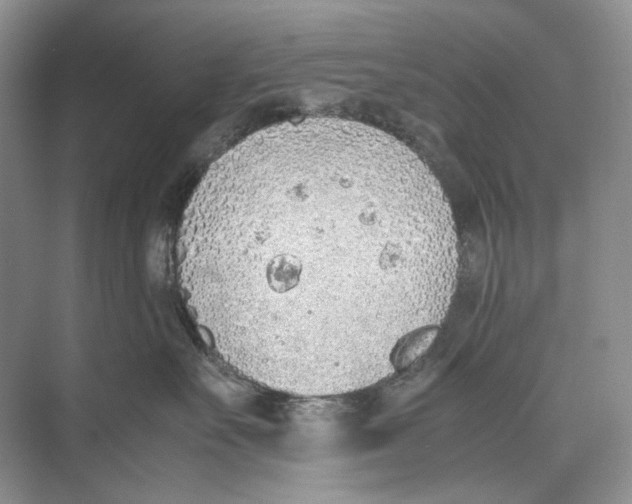 X0000074330527200609230055