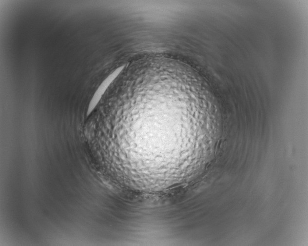 X0000074330528200609230055