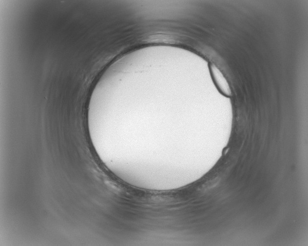 X0000074330529200609230055