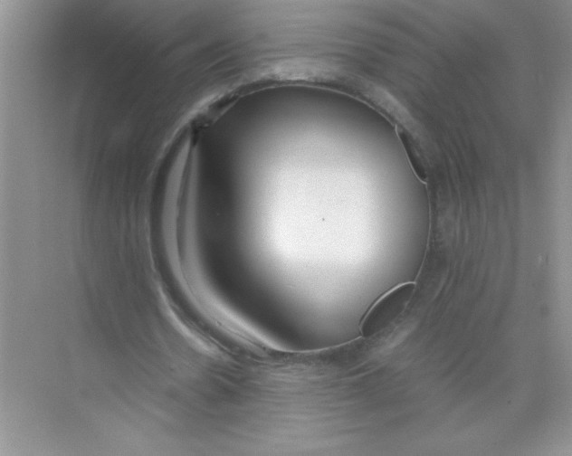 X0000074330530200609230055