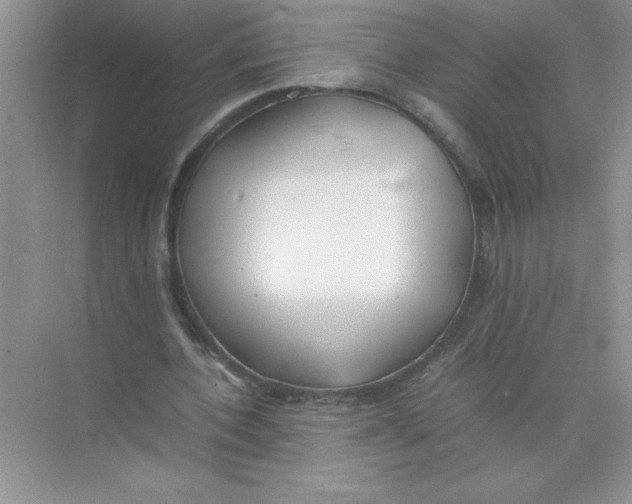 X0000074330532200609230055