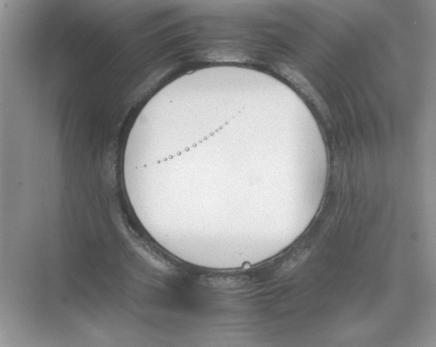 X0000074330533200609230055