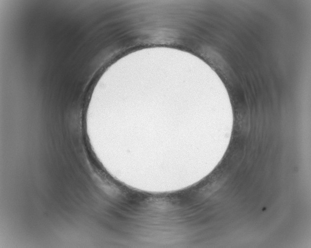 X0000074330534200609230055