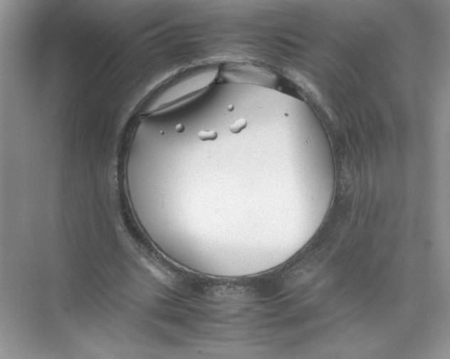 X0000074330535200609230055