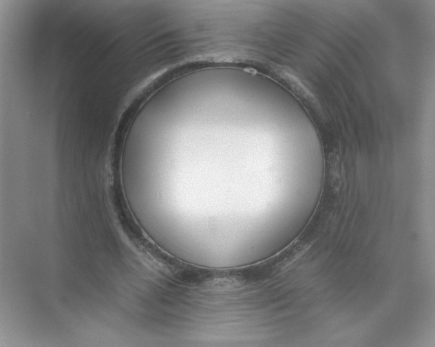 X0000074330536200609230055