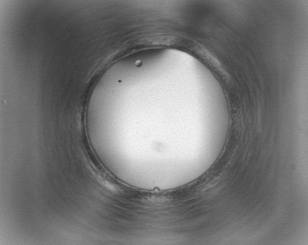 X0000074330537200609230055