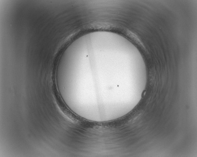 X0000074330538200609230055