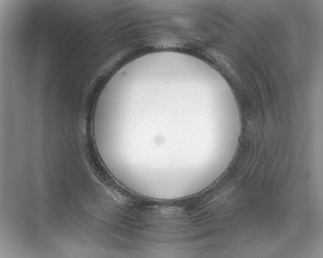 X0000074330539200609230055