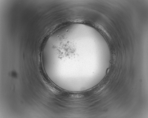 X0000074330541200609230055