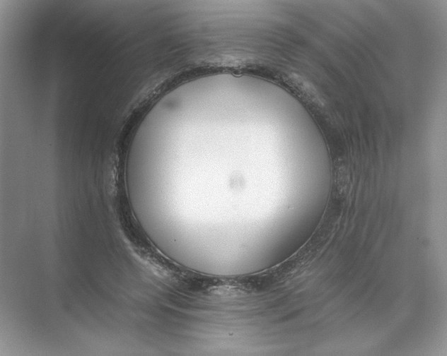 X0000074330544200609230055