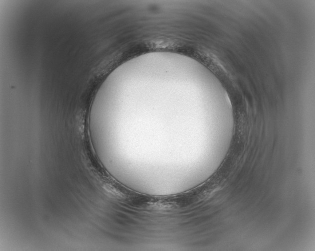 X0000074330545200609230055