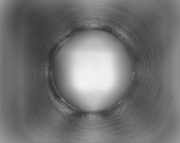 X0000074330546200609230055