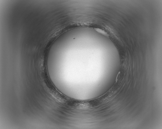 X0000074330548200609230055