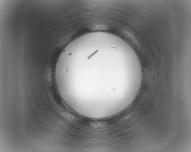 X0000074330549200609230055