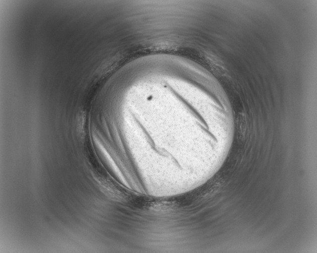 X0000074330550200609230055