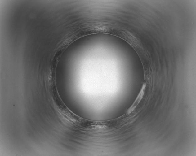 X0000074330552200609230055