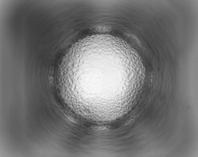 X0000074330553200609230055