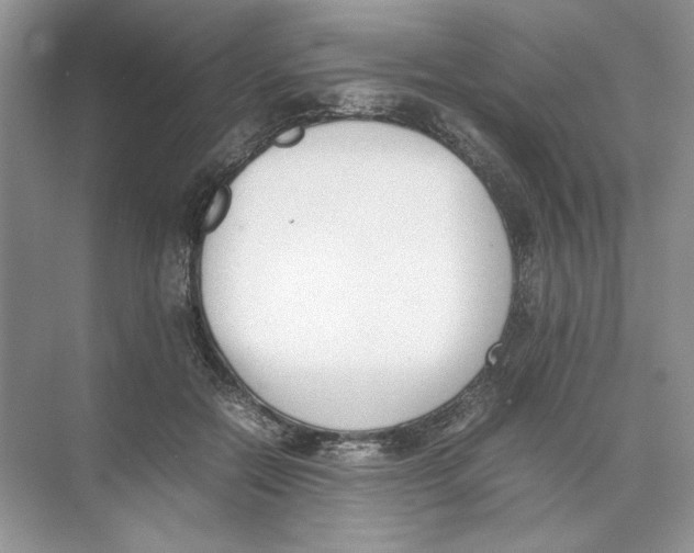 X0000074330554200609230055