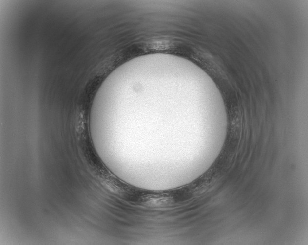 X0000074330555200609230055