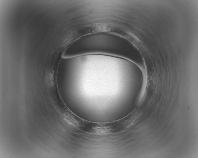 X0000074330556200609230055