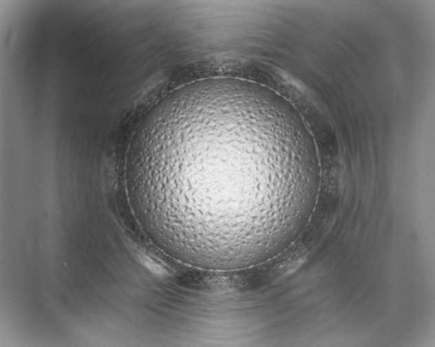 X0000074330558200609230055