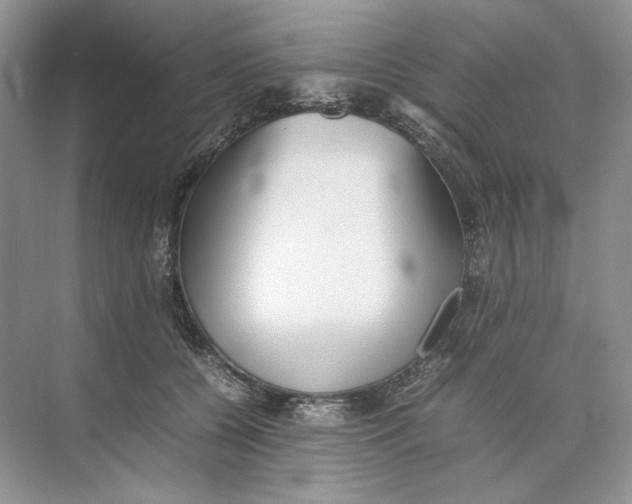 X0000074330560200609230055