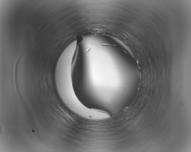 X0000074330562200609230055