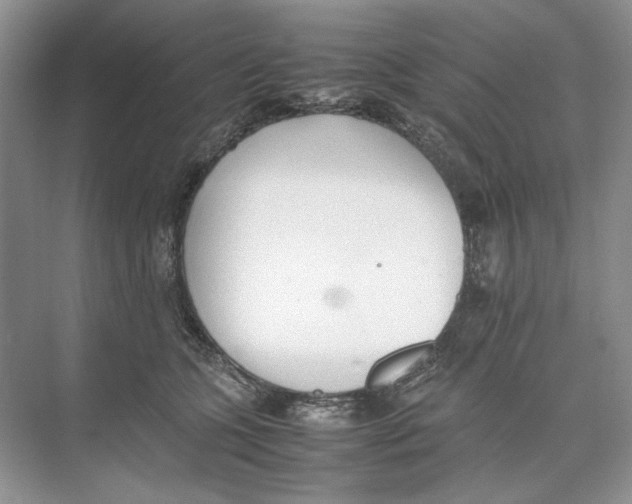 X0000074330563200609230055