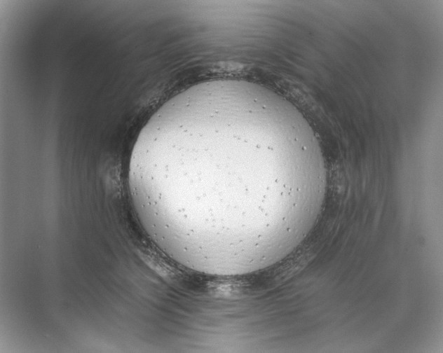 X0000074330564200609230055