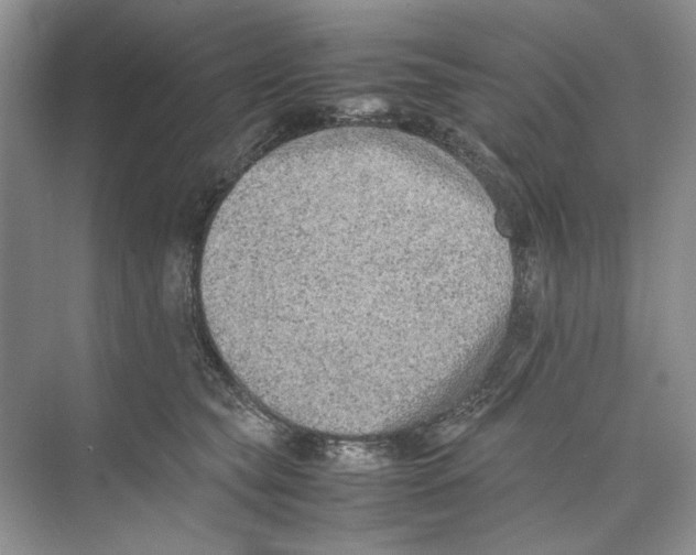 X0000074330565200609230055